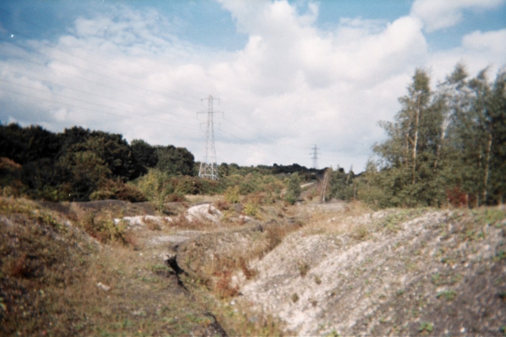 AAA015