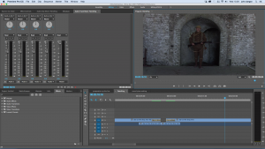 premier pro screen grab